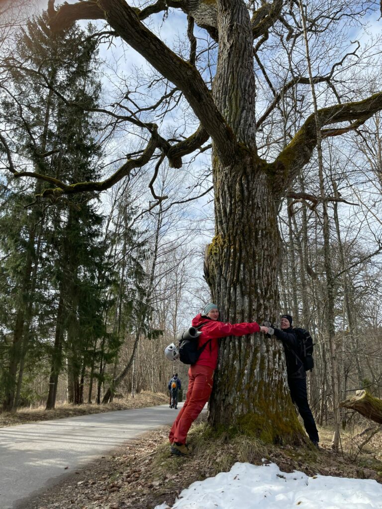 Kaksi ihmistä halaa isoa puuta.