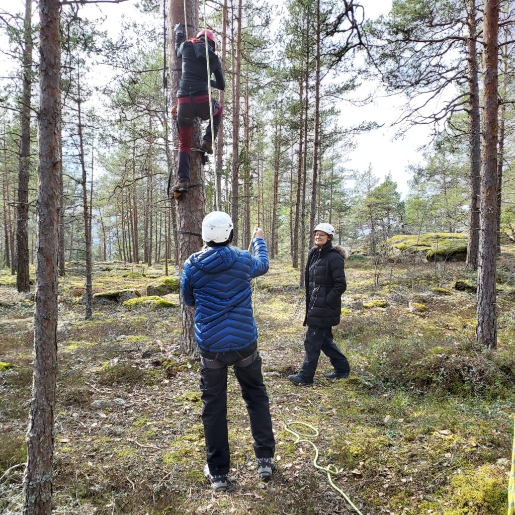 Puukiipeilyyn valmistautumista ja köysien laittoa.